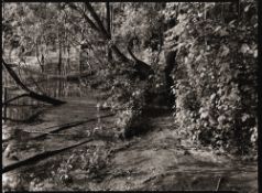 Görlich, Ulrich (1952 Alfeld)