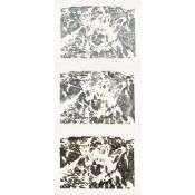 Lichtsteiner, Alois (1950 Ohmstal, Schweiz)