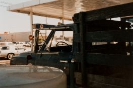 Eggleston, William (1939 Memphis)