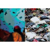 Reifenberg, Dodi (1960 Haifa)