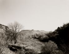 Adams, Robert (1937 Orange, New Jersey)