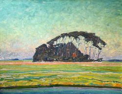 Books - Max Brod - Fine Art