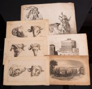 JARDIN, Karel Du : four engravings of sheep and goats with 2 other smaller prints.