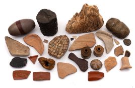 A collection of fossils and antiquarian pot sherds: including a woolly mammoth tooth, Samian wares,