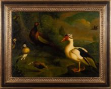 Style of Melchior de Hondecoeter [20th Century] - Water fowl, ducks,