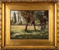 British School 19/20th Century- Sunlight through a meadow,:- oil on canvas, 30 x 40cm.