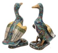 A pair of Chinese cloisonne models of ducks: each seated with wings slightly outstretched and