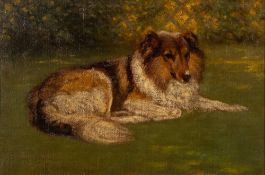 Edgar H Fischer [19/20th Century]- Collie dog resting,:- signed and dated 1907, oil on board,