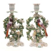 A pair of Derby 'birds in branches' candlesticks: the birds perched amongst floral bocage,