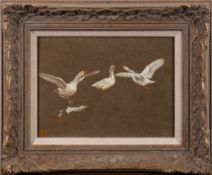 Thomas Blinks [1860-1912]- Geese studies,:- signed with a monogram, oil on board, 19 x 25.5cm.