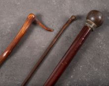 Three 19th century walking sticks: comprising a small cane with carved dog's head pommel,