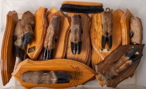 A collection of fifteen Tiverton Stag Hounds deer slots: each mounted on a wooden shield plinth