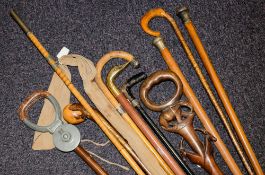 A group of various walking sticks and canes,: including two silver mounted examples etc.