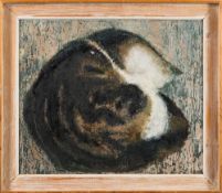 * Christine Raikes [20th Century]- Chaucer The Cat; verso Rock Study,:- signed, oil on board,