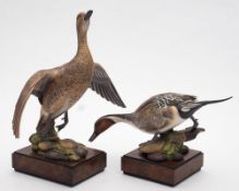 A pair of Royal Worcester porcelain models 'American Pintail Male' and 'American Pintail Female':