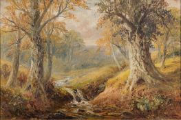 George Turner [1843-1910]- Winson's Wood, Kirk Ireton, Derbyshire,