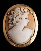 An oval shell cameo portrait pendant/brooch: depicting classical woman approximately 34mm long x