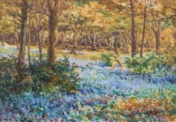 William Wiehe Collins [1862-1951]- Wild Hyacinths in the woods at Hethfelton near Wool,:- signed,