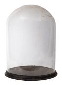 A Victorian glass dome on ebonised base: 32cm diameter, 42cm high.