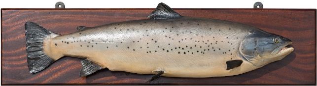 A painted wood model of a salmon:, on a mahogany rectangular plaque, 91.5cm (3ft) x 23cm (9in).