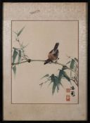 A Chinese painting, signed He Qiyuan: of a bird with brown and grey plummage perched on bamboo,