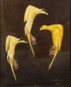 J. White [19/20th Century]- Three Canaries, 'Glasgow Dons',:- signed and dated J.