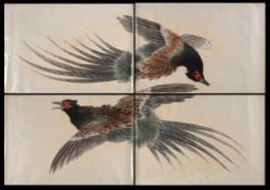 A large Japanese woodblock print in four parts: depicting flying pheasants,
