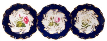 A set of three mid 19th century English porcelain botanical dessert plates: each painted with a