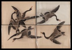 A large Japanese woodblock print in four parts: depicting flying ducks,