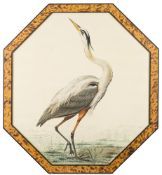 Follower of John James Audubon- Heron,: signed with a monogram 'OG' watercolour,
