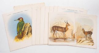 A collection of eleven Union Castle Line menus,