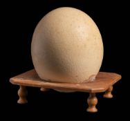 An undecorated Ostrich egg on wooden stand: