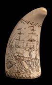 An erotic scrimshaw decorated tooth:, one side with an image of a half dressed woman,