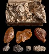 (Agathis australis), Kauri Gum, a group of three specimens of various sizes:,