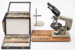 A collection of NBS (Northern Biological Supplies) prepared microscope slides of various subject