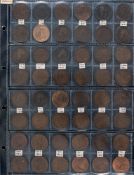 A collection of four sheets of copper and bronze pennies: some better grades.