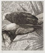 BUTTERWORTH, Elizabeth ( English ornithlogical artist specialising in parrots.
