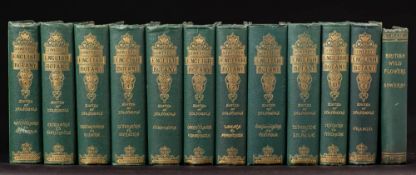 SOWERBY, John Edward - English Botany; or, coloured figures of British Plants : edited by John T.