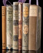 WILLIAMSON, Henry - Sun Brothers : (Peregrine's Saga) , org.
