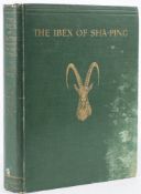 RUNDALL, Lieut. L. B - The Ibex of Sha-Ping and other Himalayan Studies : illustrated, org.