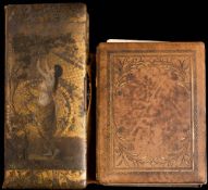 CARTE-DE-VISITE : 100 photographs on 25 leaves with colour printed backgrounds of the French