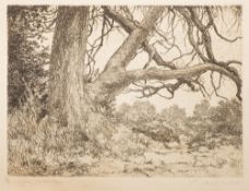 PIMLOTT, Philip : A collection of 32 drypoint etchings, mostly signed in pencil in the margin.