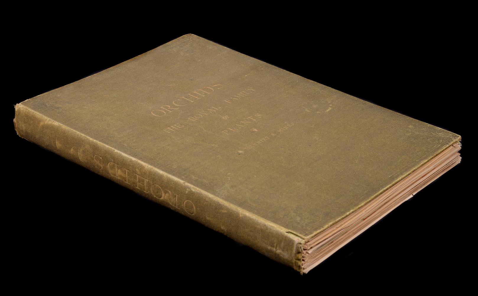 Ɵ MINER, Harriet. Orchids The Royal Family of Plants, INSCRIBED Publisher's presentation copy, 1892.