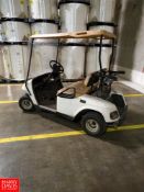 EZ-GO Electric Golf Cart with Batteries and Canopy Rigging Fee: $100