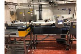 Safeline Mettler Toledo High Speed Metal Detector and Check Weigher Model Beltweigh/XS, with