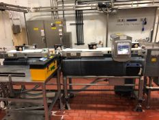 Safeline Mettler Toledo High Speed Metal Detector and Check Weigher Model Beltweigh/XS,