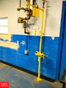 Bradley Emergency Eyewash Station and Shower Rigging Fee:$150