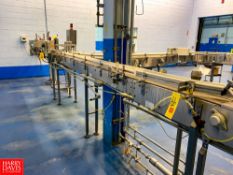 13' + Arrowhead S/S Frame Product Conveyor with 4.5