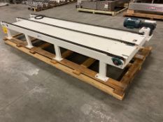 NEW Taylor Pallet Conveyor 37”x137” With 18-1/2” Chain Height