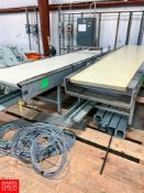 (2) Sections Power Belt Conveyor, 28